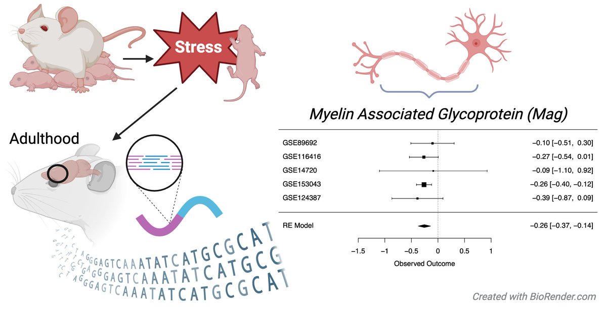 Megan Hagenauer tweet media