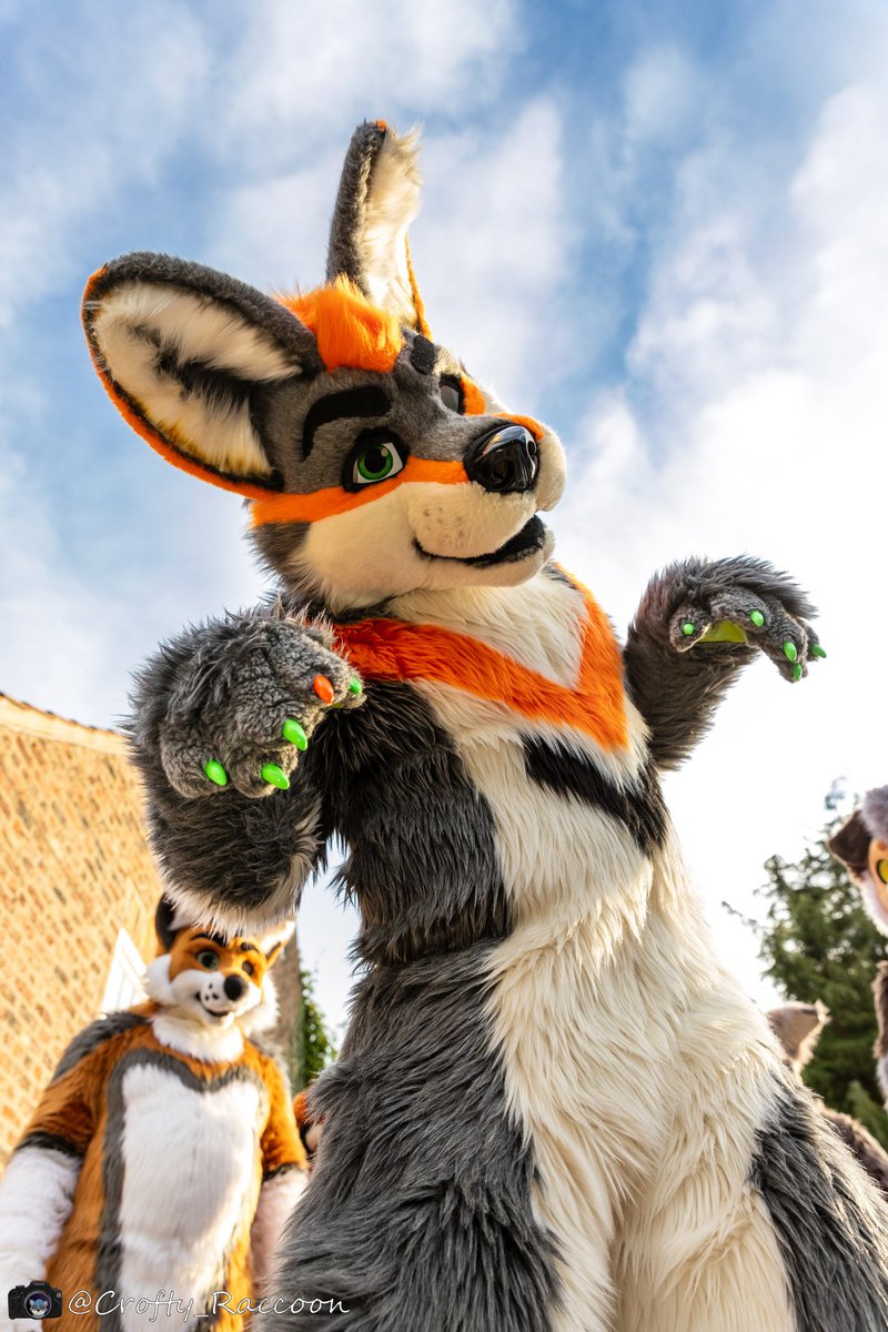 Dougie (@dougiewulf) on Twitter photo Look at this fuzzball ๐ who'd have thought he's 8 years old today?!
Still going strong thanks to <a href="/TheKarelia/">TheKareliaFursuits ๐ EF29, Furnavia.</a> super craftsmanship.
Love this pic by <a href="/Crofty_Raccoon/">crofty_raccoon</a> also featuring my the cuddly <a href="/CormackWolf/">Cormack</a> ๐ฅฐ Look at this fuzzball ๐ who'd have thought he's 8 years old today?!
Still going strong thanks to <a href="/TheKarelia/">TheKareliaFursuits ๐ EF29, Furnavia.</a> super craftsmanship.
Love this pic by <a href="/Crofty_Raccoon/">crofty_raccoon</a> also featuring my the cuddly <a href="/CormackWolf/">Cormack</a> ๐ฅฐ