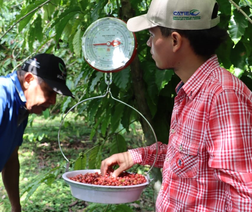 MIDAPma's tweet photo. Transformación Agrícola de Panamá Oeste: Un Modelo de Cooperación Internacional

https://t.co/zEig1hOYHW https://t.co/2U5UvESVkI