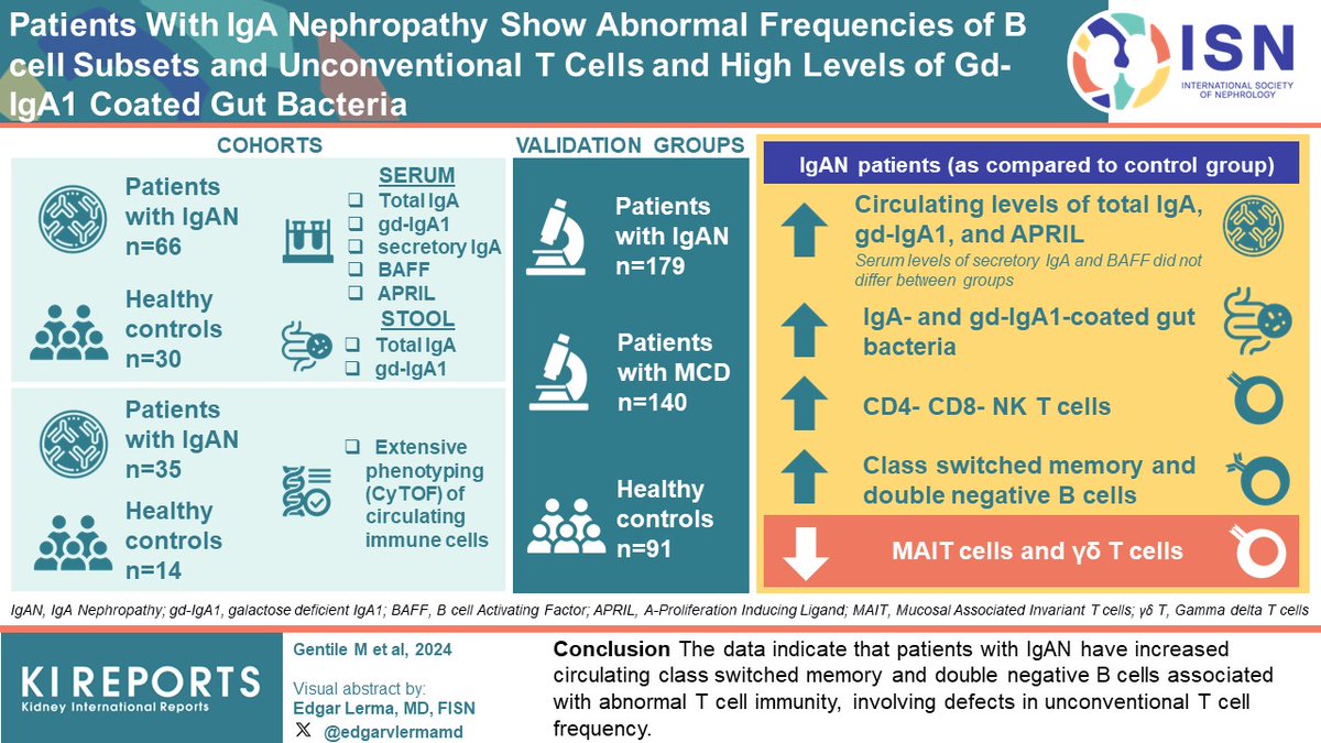 KIReports (@kireports) on Twitter photo Patients with #IgA Nephropathy Show Abnormal Frequencies of #Bcell Subsets and Unconventional #TCells and High Levels of #Gd-IgA1 Coated Gut Bacteria
#VisualAbstract by <a href="/edgarvlermamd/">Edgar V. Lerma 🇵🇭</a>
kireports.org/article/S2468-…
<a href="/cravedilab/">Cravedi Lab</a> <a href="/ninagoerlich/">ninagoerlich</a> Patients with #IgA Nephropathy Show Abnormal Frequencies of #Bcell Subsets and Unconventional #TCells and High Levels of #Gd-IgA1 Coated Gut Bacteria
#VisualAbstract by <a href="/edgarvlermamd/">Edgar V. Lerma 🇵🇭</a>
kireports.org/article/S2468-…
<a href="/cravedilab/">Cravedi Lab</a> <a href="/ninagoerlich/">ninagoerlich</a>
