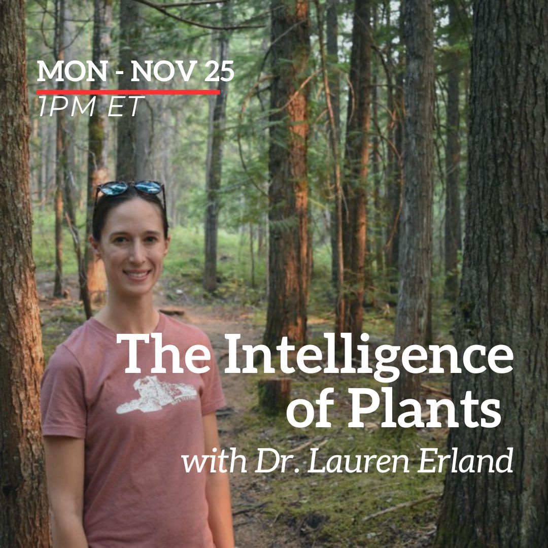 EBTSOYP's tweet photo. This week at #EBTSOYP
Mon 11/25
11am ET - Exploring Arctic Plants with Paul Sokoloff
12pm ET - Vaccines and Beyond with Anna Blakney
1pm ET - The Intelligence of Plants with Dr. Lauren Erland https://t.co/ugmqFd6UUu