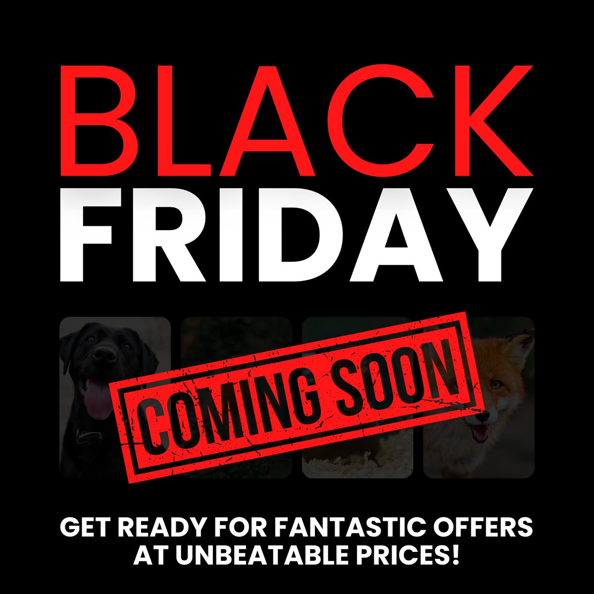 Superpetltd's tweet photo. 🔥 Get ready, pet lovers! Superpet’s 𝗕𝗹𝗮𝗰𝗸 𝗙𝗿𝗶𝗱𝗮𝘆 𝗘𝘃𝗲𝗻𝘁 is just around the corner. 🛒 From 29th Nov to 2nd Dec, enjoy 𝘂𝗻𝗯𝗲𝗮𝘁𝗮𝗯𝗹𝗲 𝗼𝗳𝗳𝗲𝗿𝘀 on your favourite pet products.
Stay tuned: https://t.co/EO80Cs1Oc8
#BlackFriday #PetLovers #Superpet https://t.co/fRJwcyqGaj