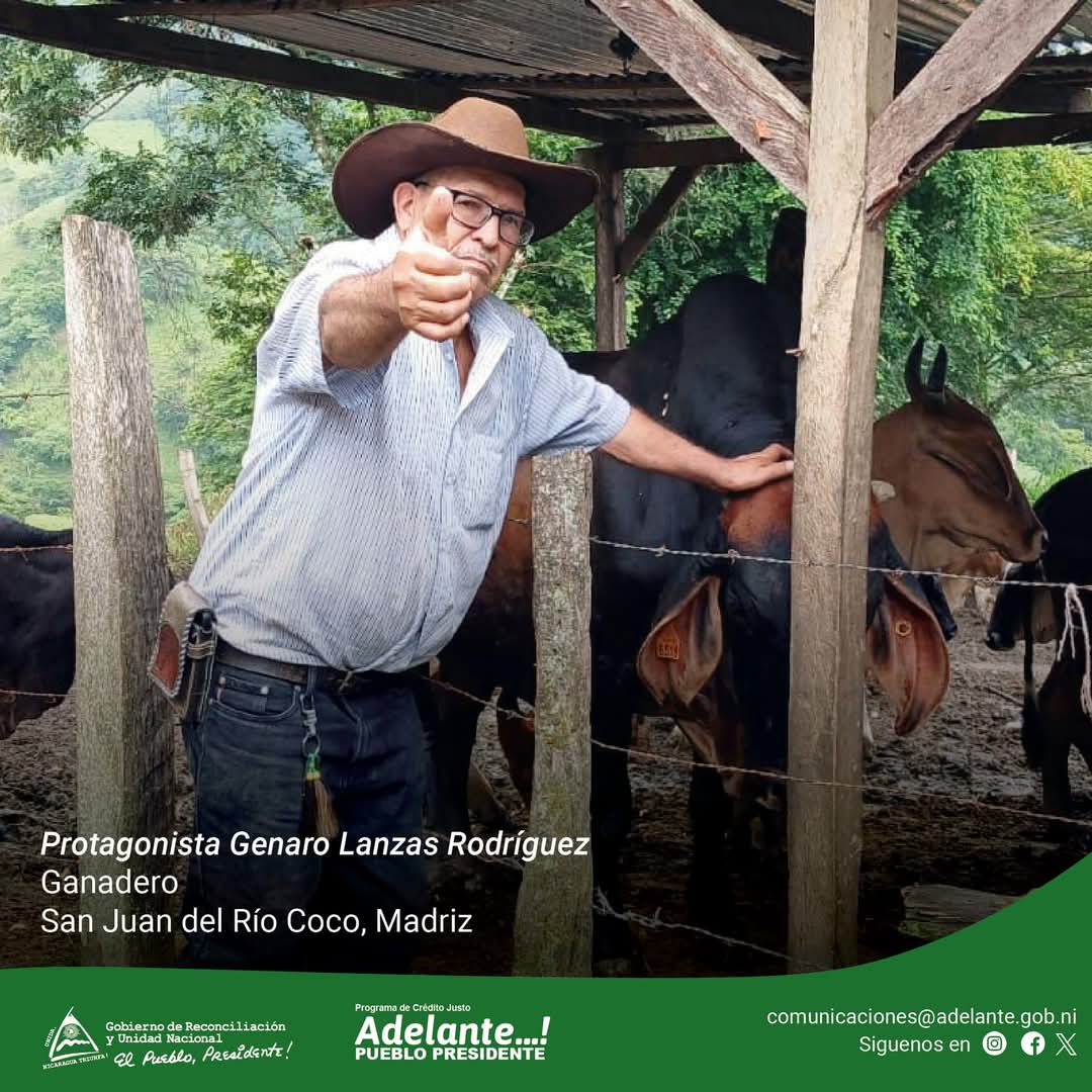 Don Genaro Lanzas Rodríguez del municipio de San Juan del Río Coco, Madriz fue beneficiado con crédito de ganadería gracias al #ProgramaAdelante para la compra de vaquillas fortaleciendo su hato ganadero. 🐮

 #DanielTiemposDeVictorias #Nicaragua #4519SiempreMásAllá  🔴⚫️✌️