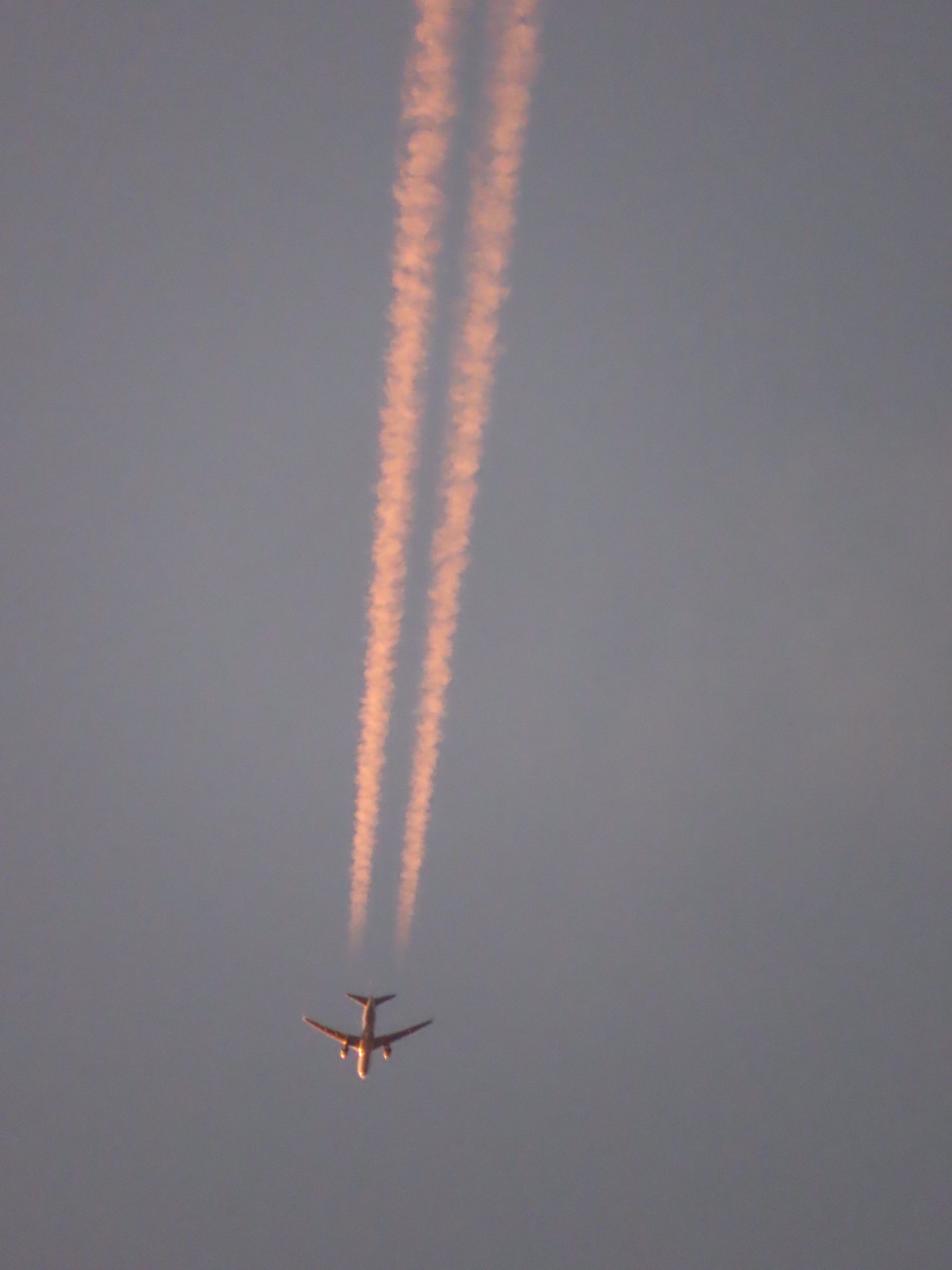 こん様✪専用ページ 楽天市場】☆SK11 SPD-2555GJ-H SPDコンベックスGJｰH 巻尺