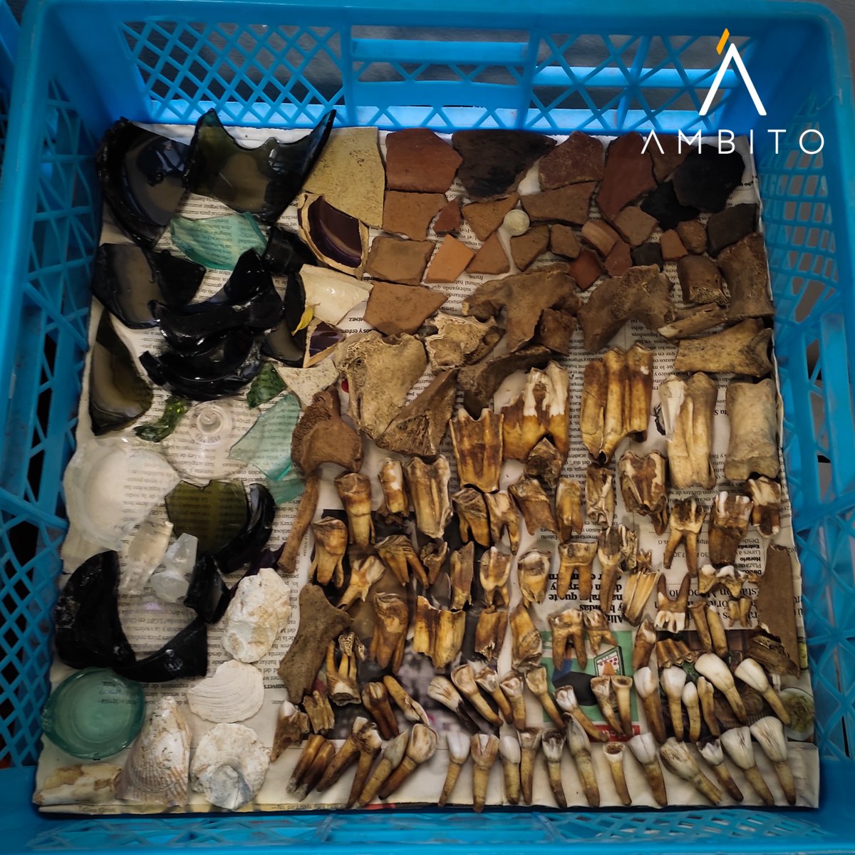 ÁMBITO (@ambitochile) on Twitter photo Parte de nuestro trabajo en el área de conservación contempla la limpieza, clasificación y embalaje de los distintos materiales que encontramos en las excavaciones arqueológicas.
¿Te gustaría ver un video de este proceso? Parte de nuestro trabajo en el área de conservación contempla la limpieza, clasificación y embalaje de los distintos materiales que encontramos en las excavaciones arqueológicas.
¿Te gustaría ver un video de este proceso?