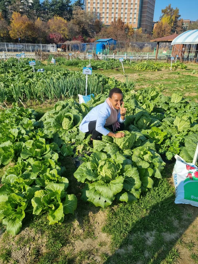 Rwandanfarmer's tweet photo. I am lucky to join this field I'm very excited to see vegetables https://t.co/ixQ2qDvEkT