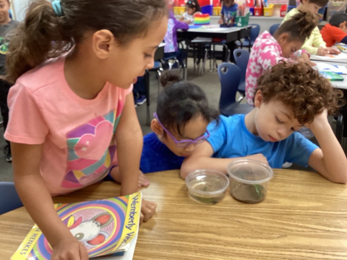 RockinRoom5's tweet photo. Up close with careful observations of the Pumilio frogs #STEMD69 https://t.co/JxQ9ktMunO