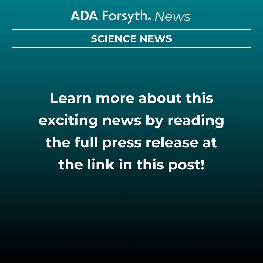 AFI scientists have developed a new imaging approach that makes it possible to analyze the spatial connections between bacteria, including the strength of adhesive forces that hold them together. 

Read all about it in our press release: forsyth.org/with-new-imagi…