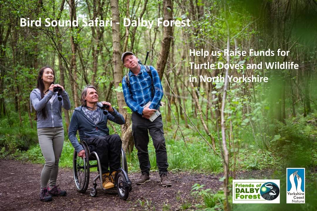 Every year I raise money for our Turtle Dove Project by leading my special Bird Sound Safaris in Dalby Forest. My event dates are now on our website and we have christmas gift vouchers! A great way to learn birdsong &amp; help wildlife all the details here: yorkshirecoastnature.co.uk/events/144/bir…