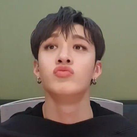 BANG CHAN SAID HE LOOKS LIKE A PLATYPUS 😭😭😭😭😭