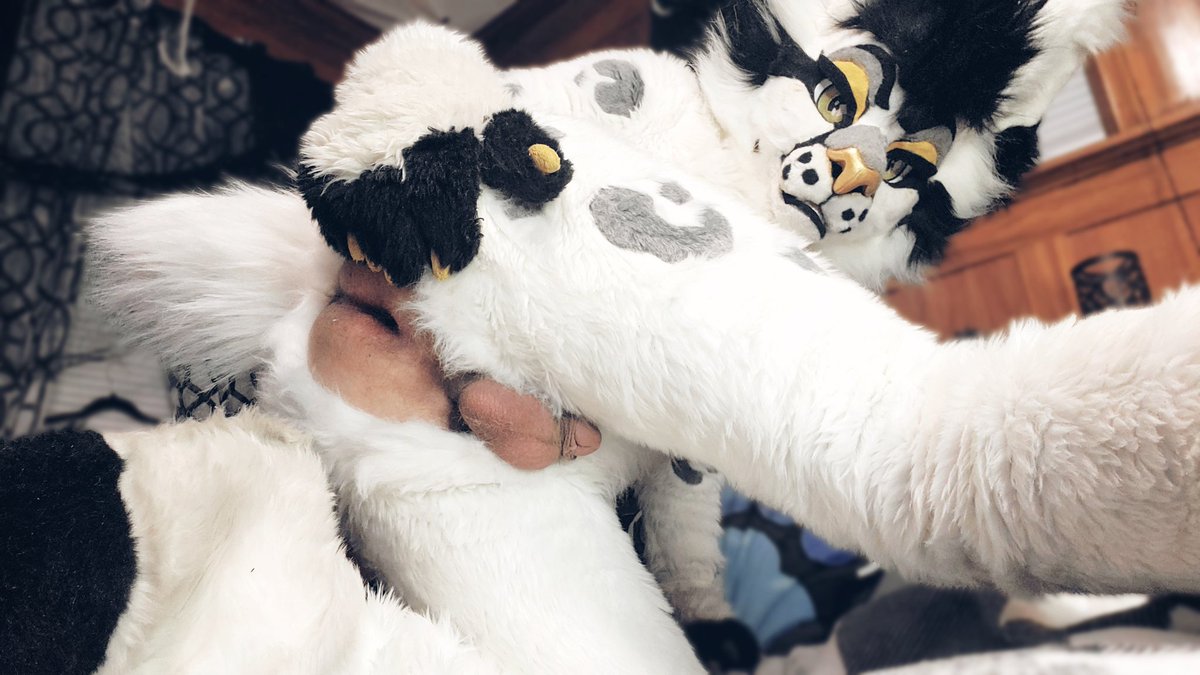 Hey! You gonna keep staring, or are you gonna do something about this view?

#murrsuitmonday #murrsuit #furrynsfw #furrylewd #fursuitlewd #fursuitnsfw