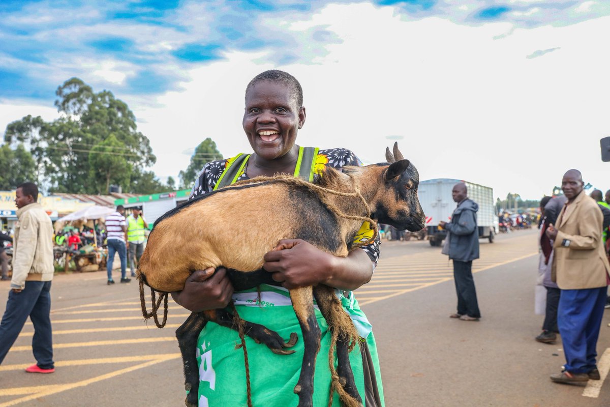 Pure joy and blessings! 🎉 Meet today's Sambaza Furaha winners from Kamukuywa. They’re walking away with fresh goodies and life-changing smiles, courtesy of <a href="/SafaricomPLC/">Safaricom PLC</a> . 
Truly spreading the joy this festive season! #SambazaFurahaNaSafaricom