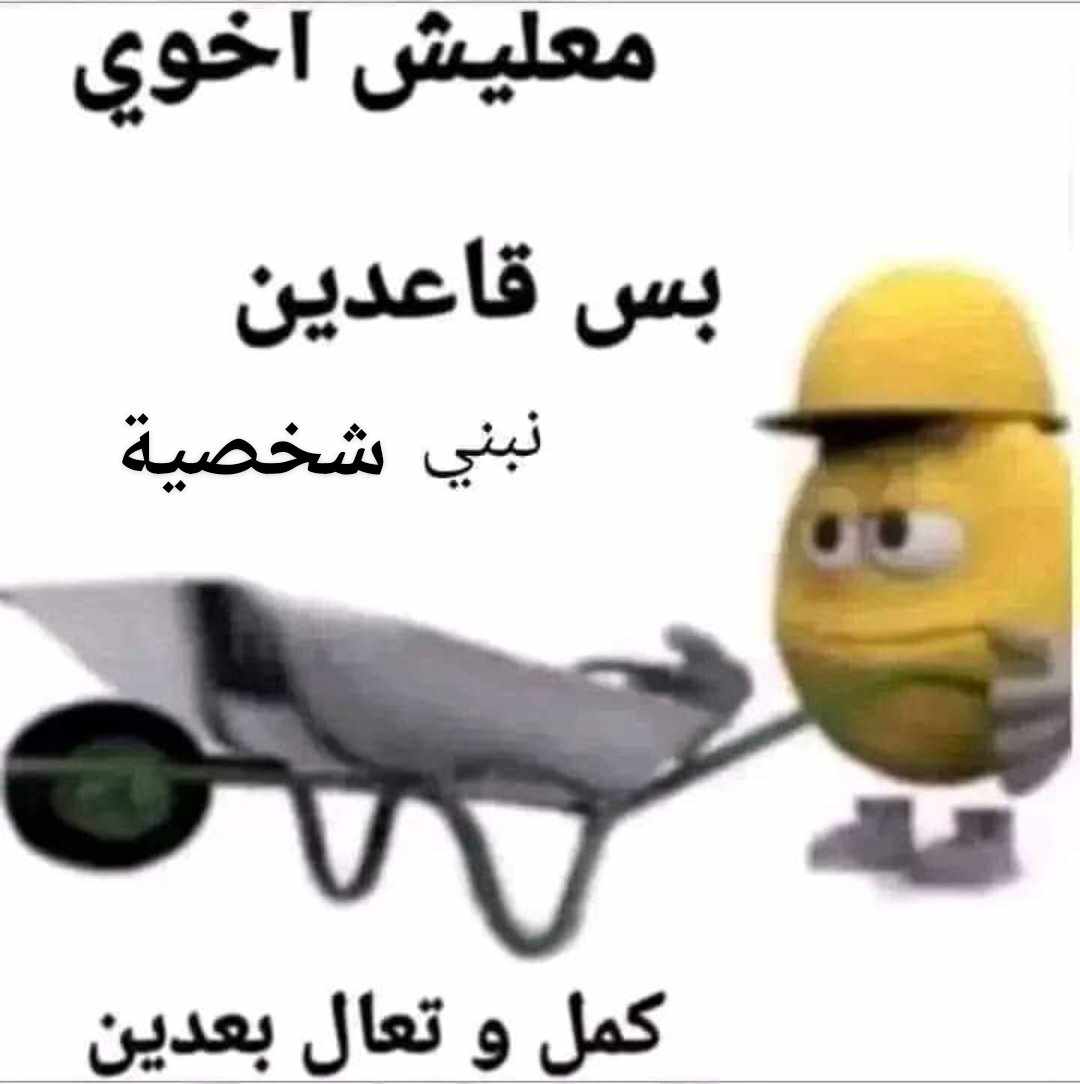اشطا يكومبيوتر tweet media