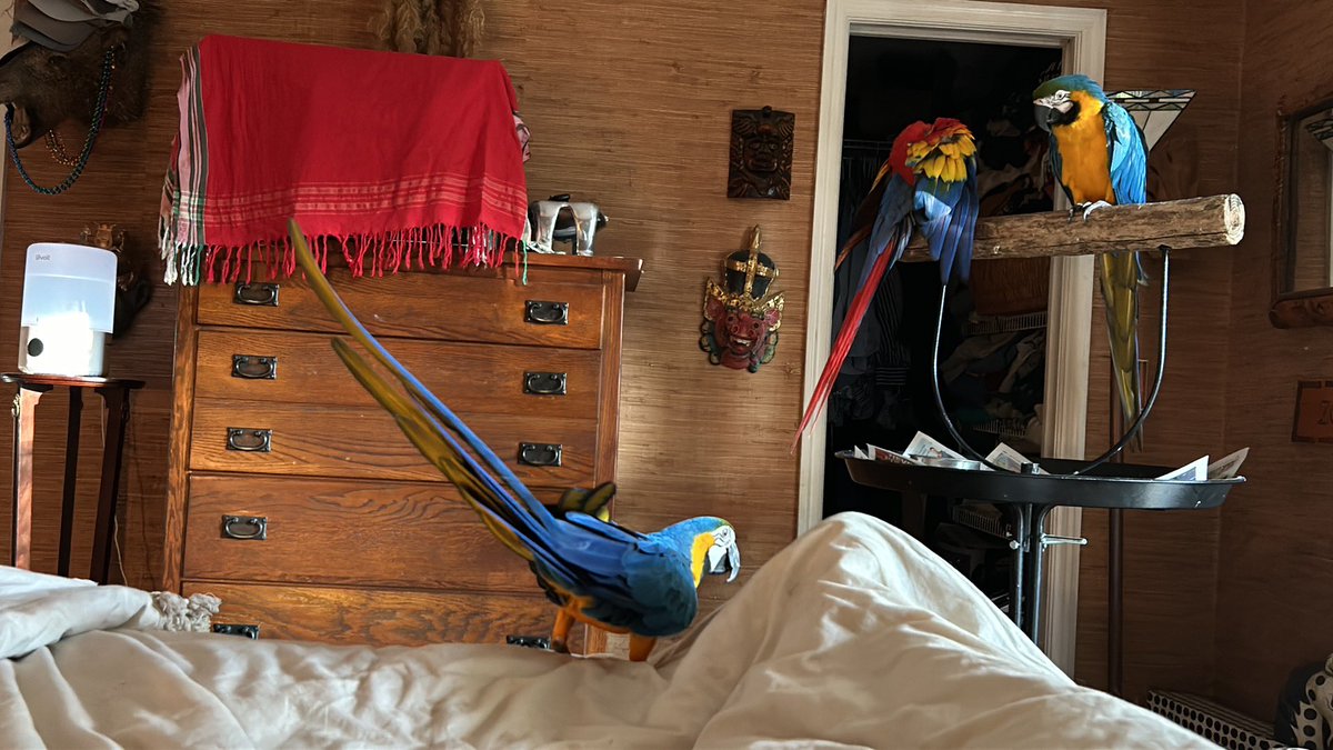 Ken Suarez tweet media