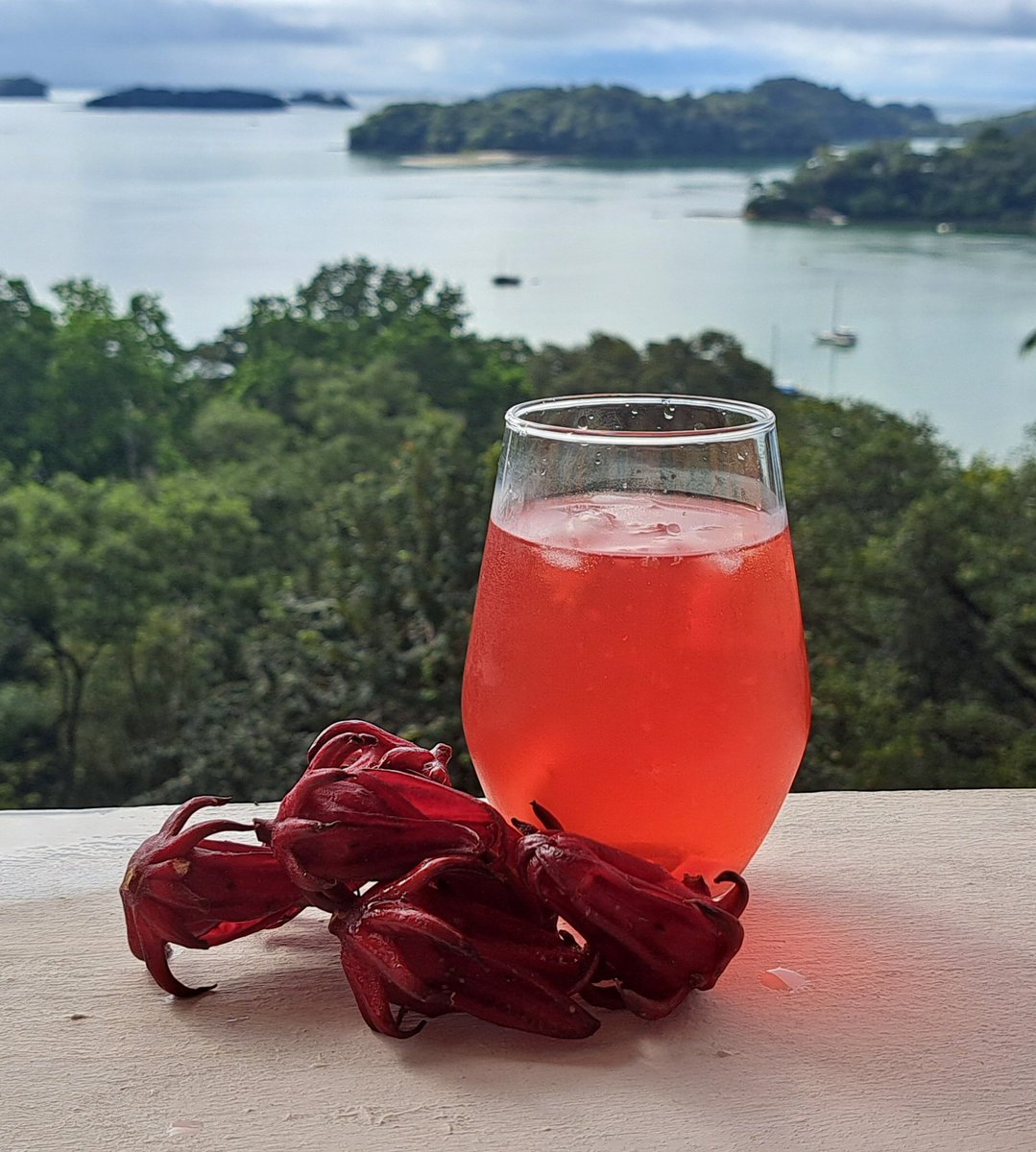 Comienzo de la nueva semana y que dia tan bonito. El té de saril,  una bebida refrescante y saludable que se prepara con los pétalos de la planta de hibisco.