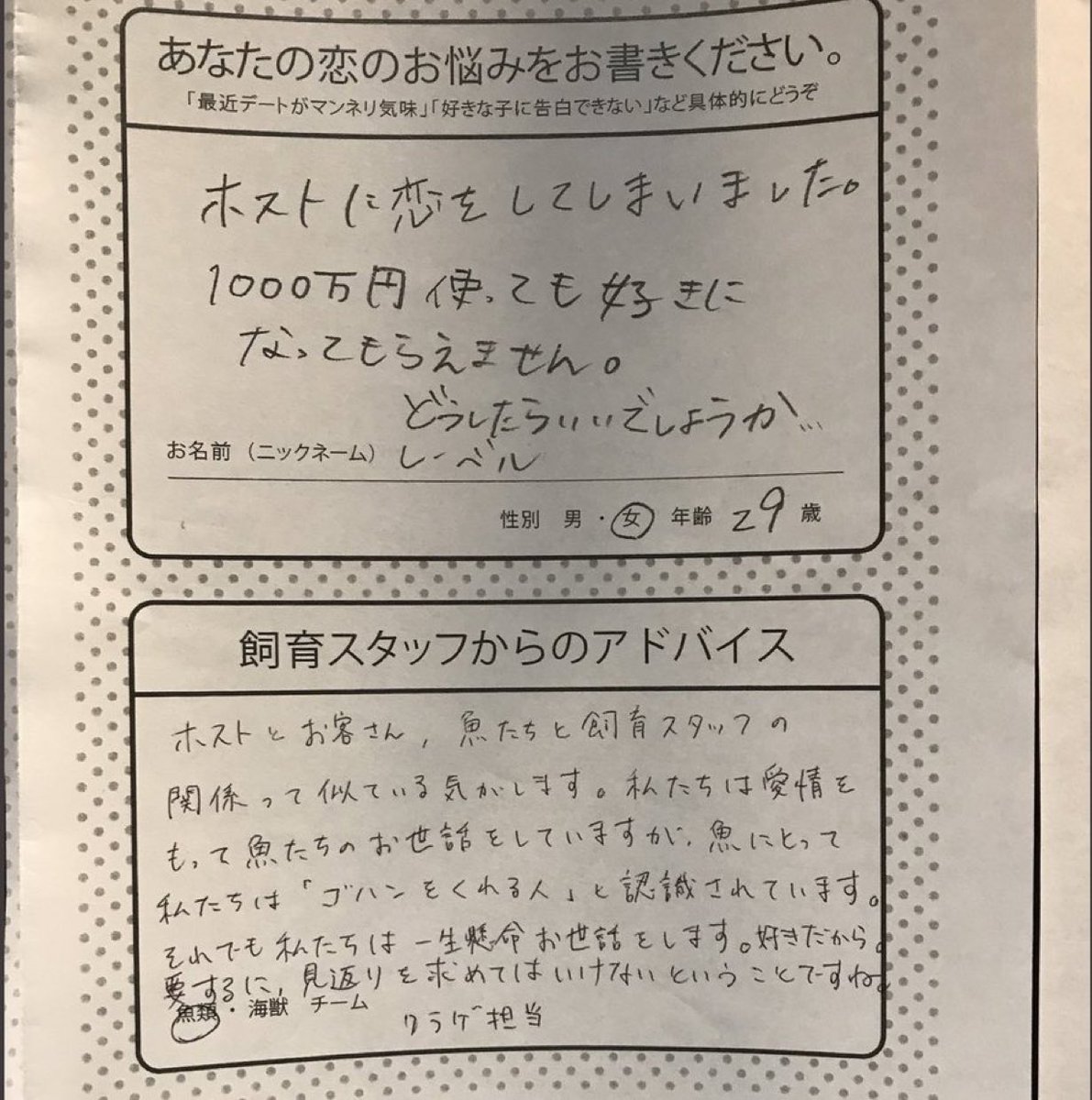 水族館のアンケート重すぎる