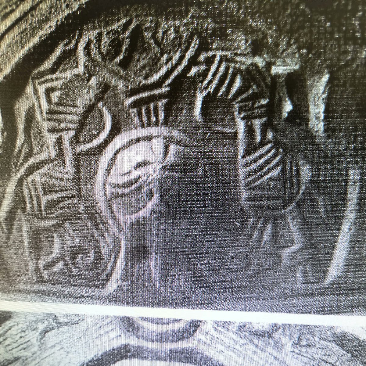 Adam 💙 tweet media