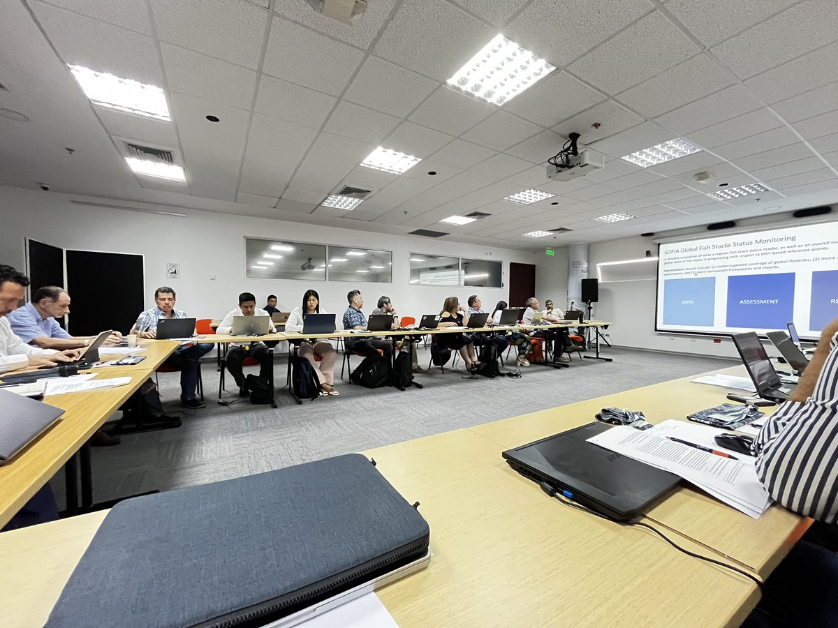 fdoespin's tweet photo. Starting FAO regional workshop to review the state of stocks analysis for Area 87 @FAOChile @FAOAmericas @ifop_periodista https://t.co/S1eMIqyDxr
