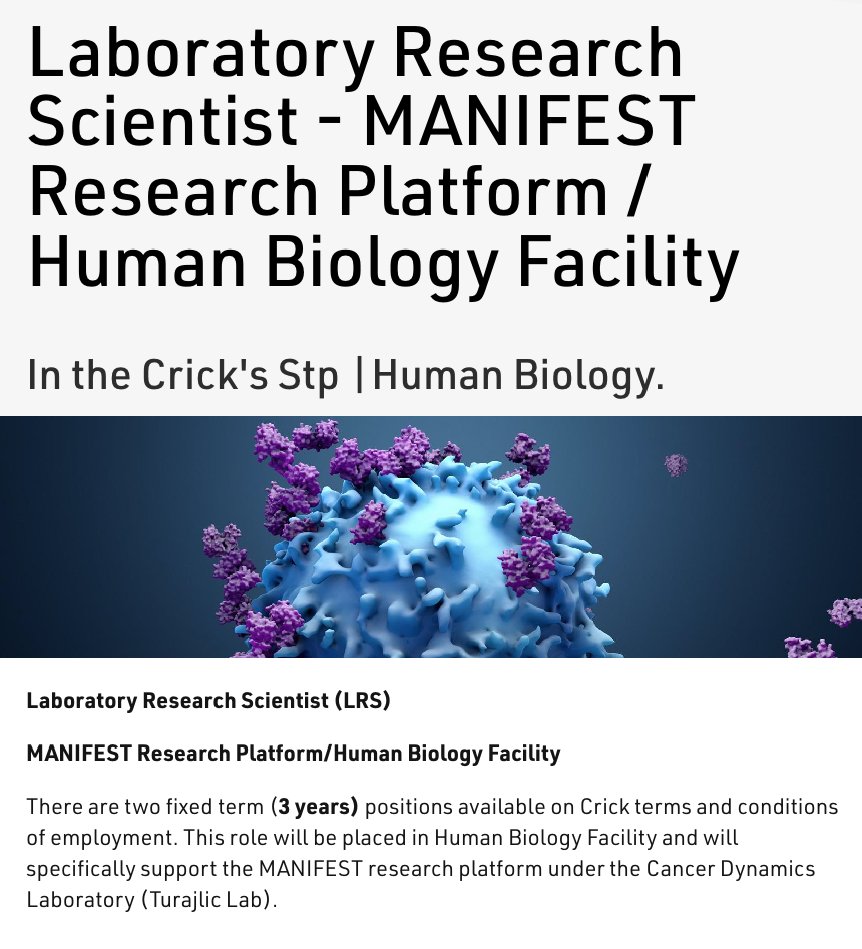 MANIFEST IO (@manifest_cirrp) on Twitter photo 📢 NEW job opportunity!
We have 2⃣ Laboratory Research Scientist roles to support the MANIFEST consortium. These roles will be focused on sample reception and processing, based at <a href="/TheCrick/">The Francis Crick Institute</a> (London).
🗓️ Deadline: 6th Dec 2024
🗳️ To apply:
crick.ac.uk/careers-study/… 📢 NEW job opportunity!
We have 2⃣ Laboratory Research Scientist roles to support the MANIFEST consortium. These roles will be focused on sample reception and processing, based at <a href="/TheCrick/">The Francis Crick Institute</a> (London).
🗓️ Deadline: 6th Dec 2024
🗳️ To apply:
crick.ac.uk/careers-study/…