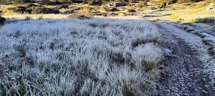 HtTrejo's tweet photo. 🥶🥶🥶 A seis grados bajo cero -6°C, así amaneció en Zelayeta, Perote, Puebla, Veracruz. 

Así marcó el termómetro durante la madrugada de este sábado 23 de noviembre.

#Puebla -3 °c
#Perote  -3°C
#Totalco - 4°C
#Zalayeta  -6°C
Crédito del texto y fotos a su autor. https://t.co/3bsWOKjN7D