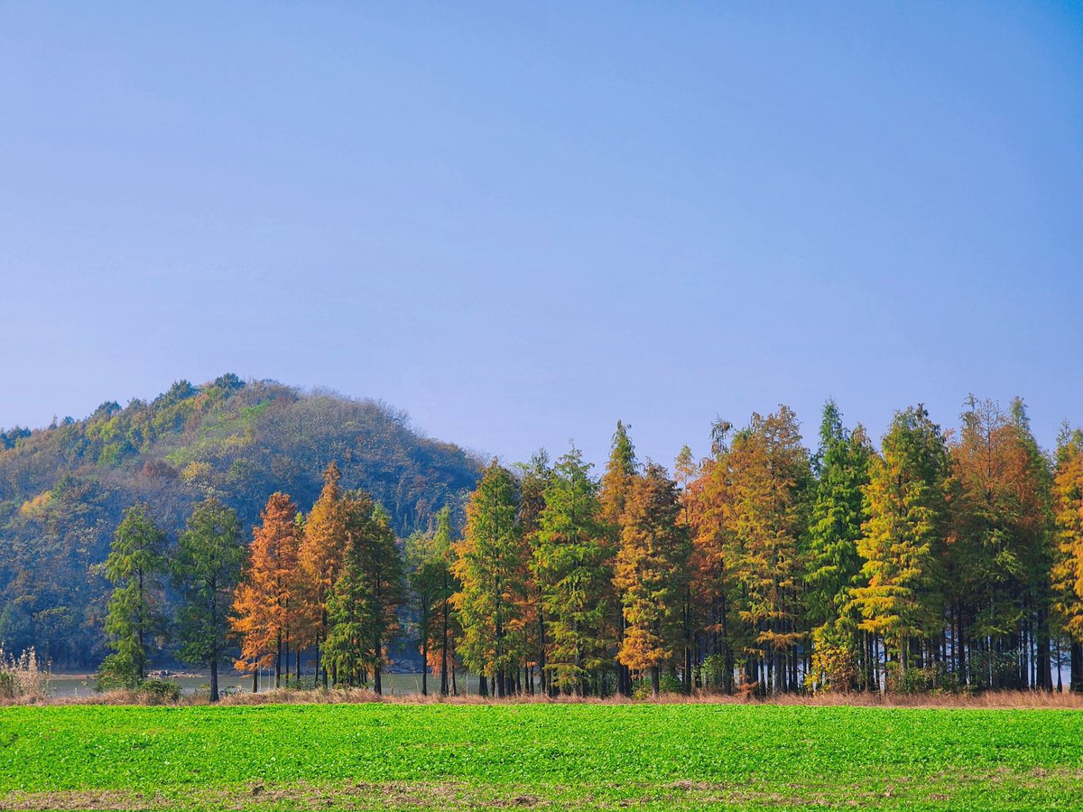 zed1754890's tweet photo. #美景 https://t.co/i64INWiNdF