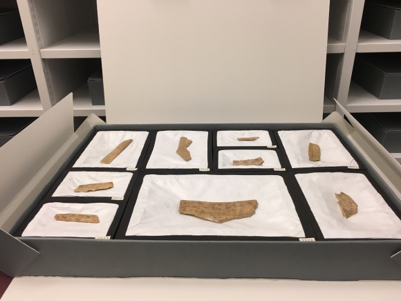 BL Collection Care tweet media