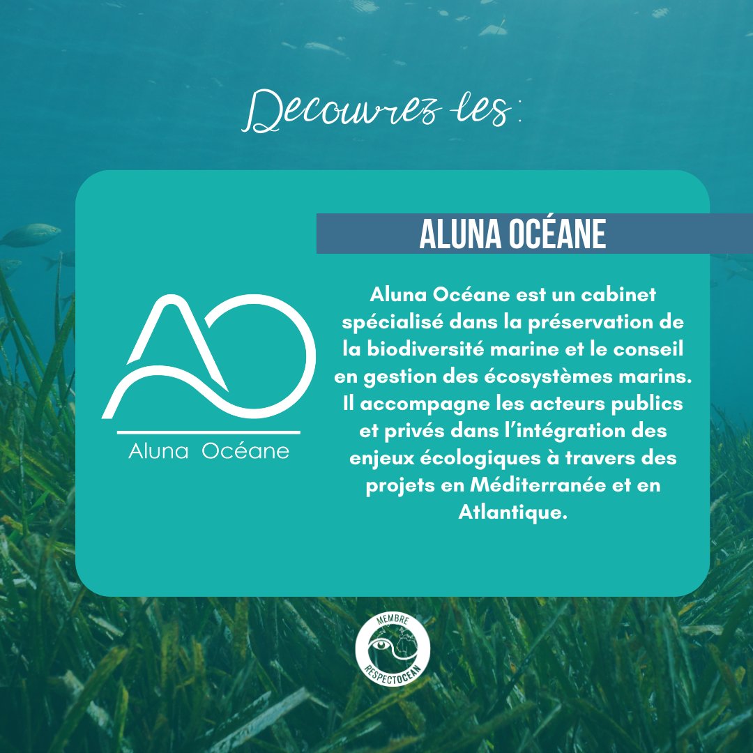 RespectOcean 🌊 tweet media