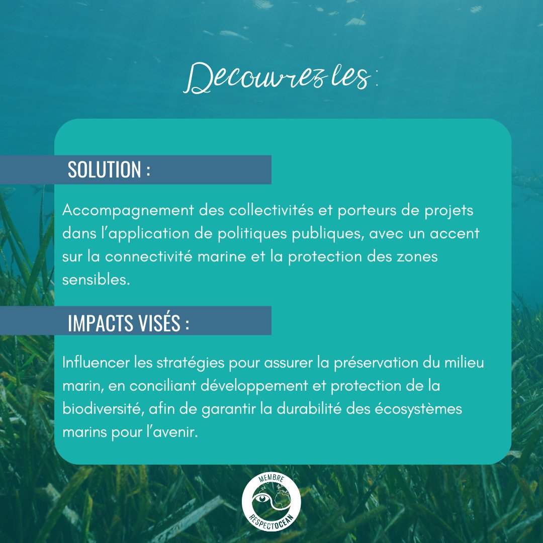 📣🌊[BIENVENUE] Nous sommes heureux d'accueillir un nouvel adhérent, Aluna Océane, cabinet spécialisé dans la préservation de la biodiversité marine et le conseil en gestion des écosystèmes marins.

▶️ Découvrir Aluna Océane : respectocean.com/aluna-oceane/