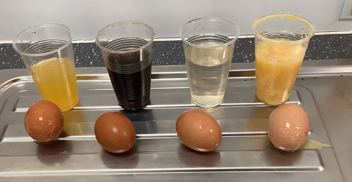 westheathprim's tweet photo. In #WHPSScience we are conducting a class experiment. Which drink causes the most damage to our teeth? The eggs/shell represent our teeth and enamel the cup our mouths. Look at our results for day 4! #WHPSClass9 we have used squash, orange juice, cola and water. https://t.co/SuyjkbffIS