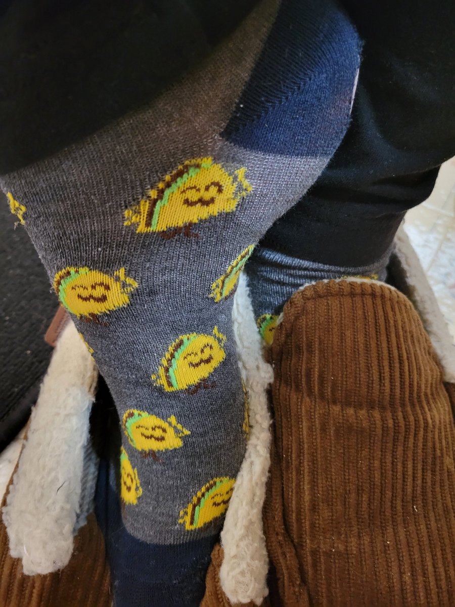 FoxxDennStudio's tweet photo. Starting day 3 with these. I've now worn holes in the heels, and I can decide if they smell like feet or pets.. I will be putting these types of items in the Denn shop upon launch in 2025. With other used items. 🧦🩲🩴 https://t.co/3hEJT3tTsA
