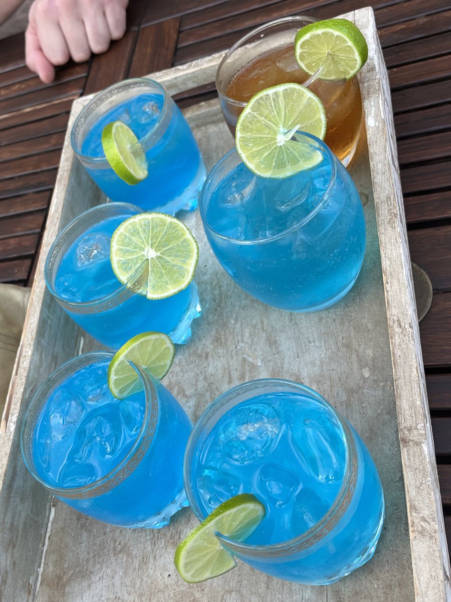 iJacoline's tweet photo. De kop is eraf. Kennismaking, introductie en de eerste paar sessies van de Deep Dive Love Retreat op Curaçao. 🙏🏼💙❤️
Vanmiddag een buddy activiteit: samen snorkelen 🐠 🐡 🐟 🤿
#liefdeis #eft #houdmevast #liefdekunjeleren https://t.co/wmnxVSp28x