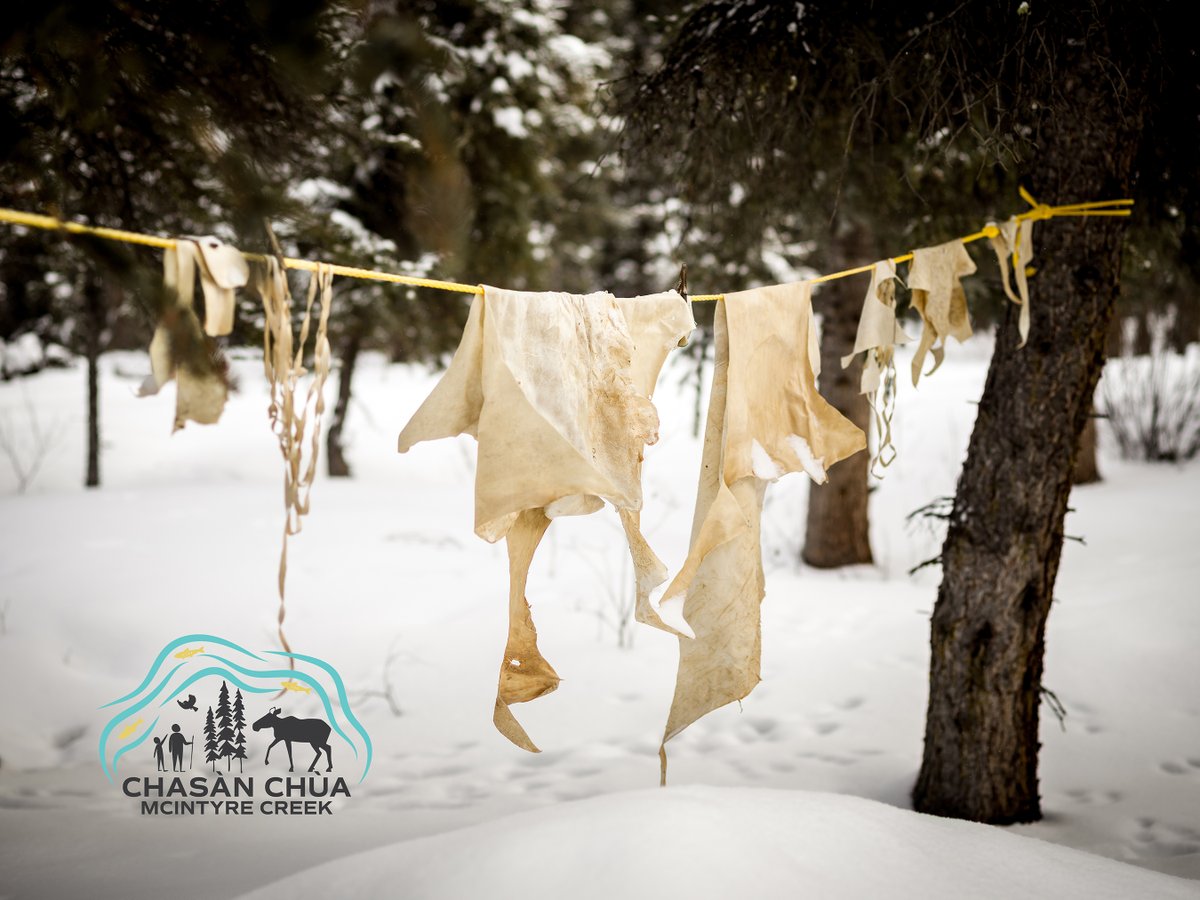 city_whitehorse's tweet photo. Take the survey to share your thoughts on Chasàn Chùa (McIntyre Creek) with the Steering Committee planning for its protection. Survey closes Dec 6. https://t.co/voOB0cPoJH

Learn more at: https://t.co/1MLTMZvP9R

@yukongov @ParksCanada #KDFN #TKC

Photo: GBP Creative https://t.co/s69hwDC2bw