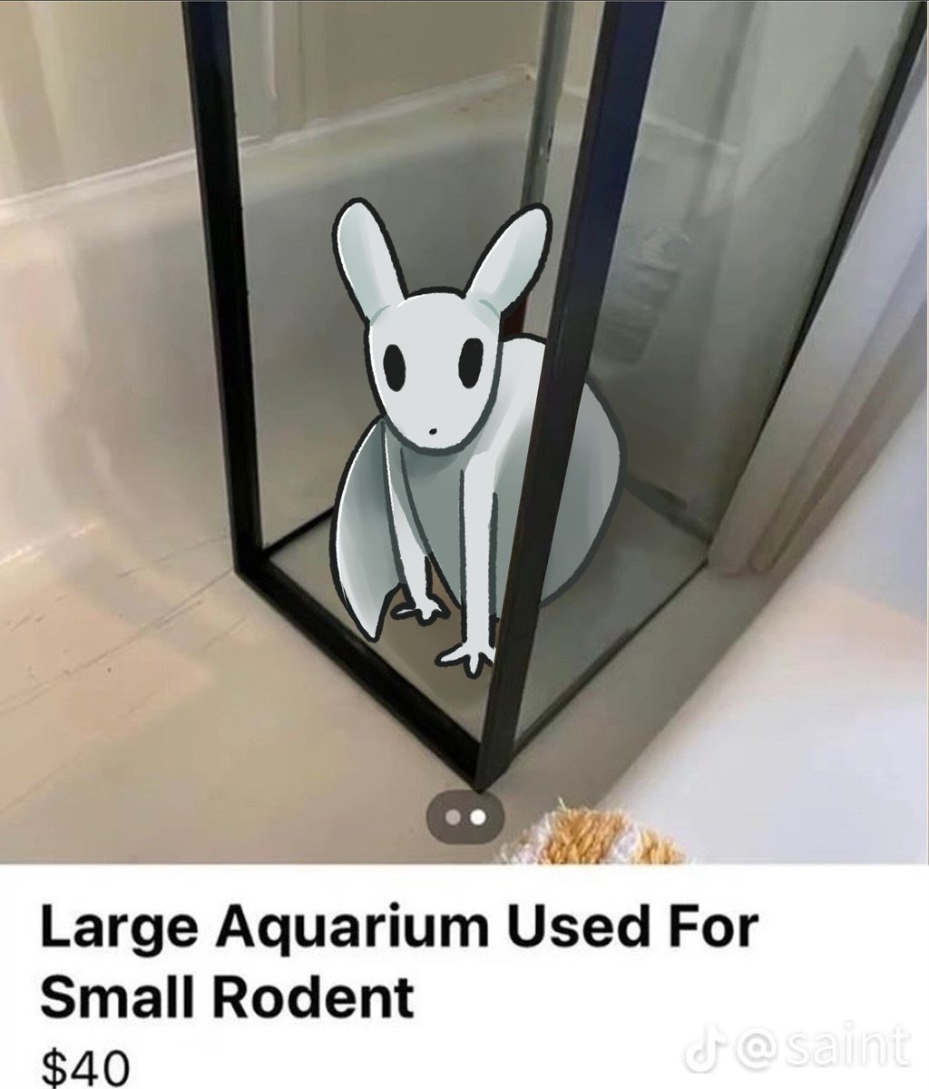 Aquarium used for small rodent #Rainworld