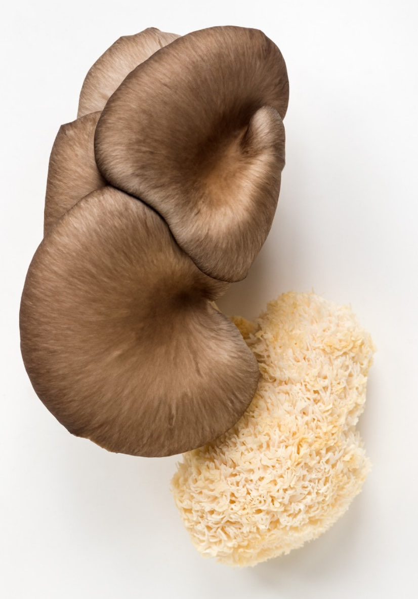 FoodFloat tweet media