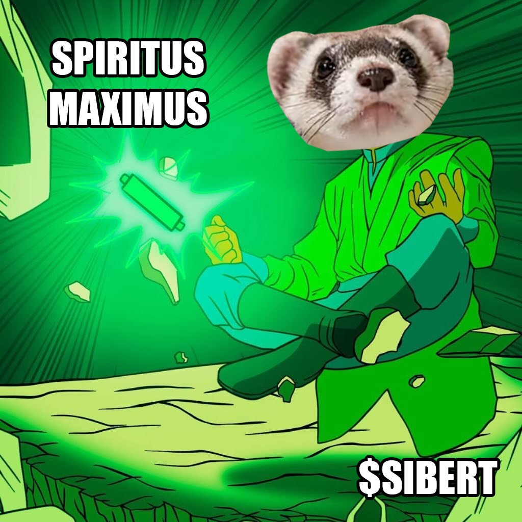 Spiritus.. Maximus
Give us Gainus

$SIBERT