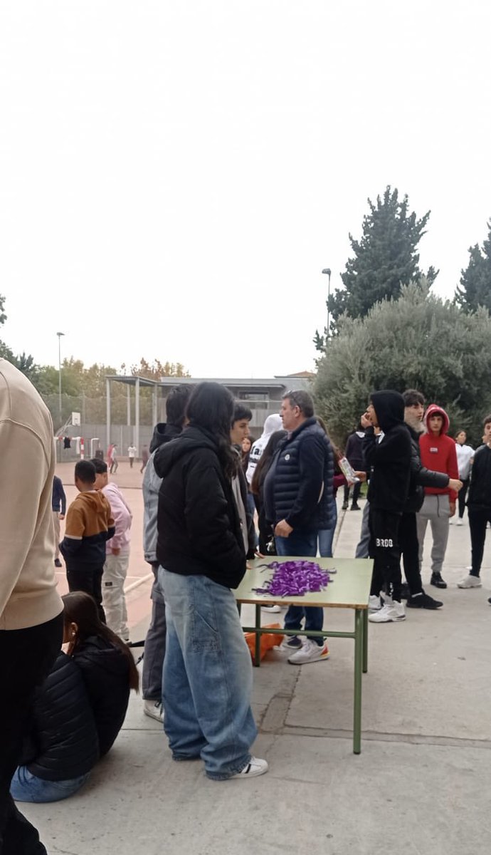 🌟 Avui, 25N, Dia Internacional per l’Eliminació de la Violència envers les Dones 🌟

Avui hem alçat la veu al nostre institut amb la lectura del manifest i el repartiment de llacets lila 💜. Des de l’associació Som Lila.