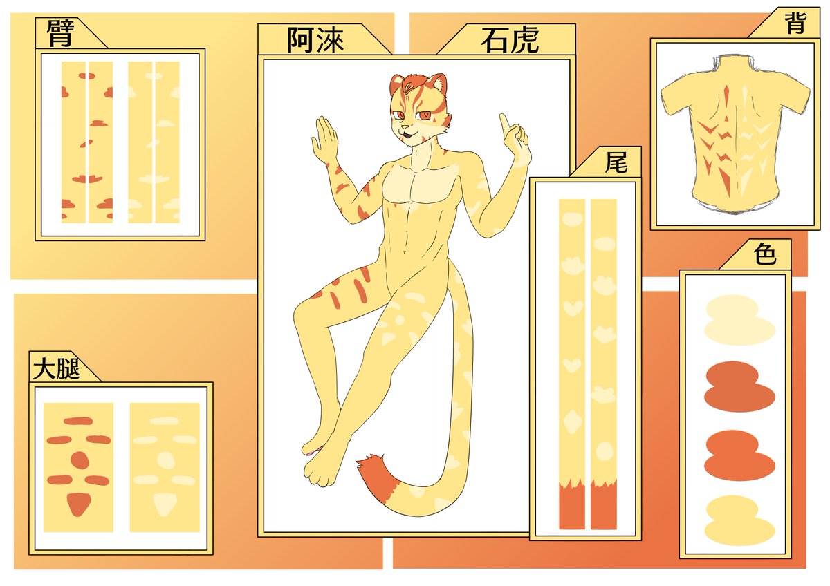 新設定-石虎阿淶