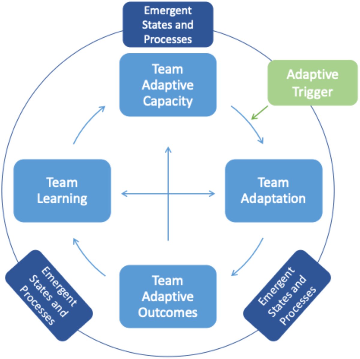 In addition, we also review:
✨Adaptive Triggers
✨Team Adaptation
✨Team Adaptive Outcomes
✨ Emergent States and Processes
✨ Team Learning
Based on the results, we propose a comprehensive model theorising how these interrelate: The Team Adaptive Cycle. 🔄
