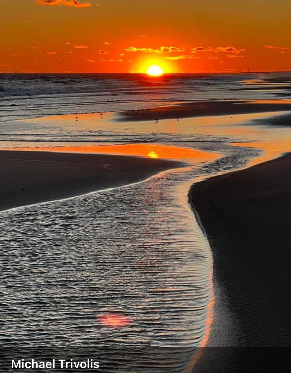 Long_island_nys's tweet photo. #localphotography #longisland #sunrise #longislandny https://t.co/oQD9PqJTXK