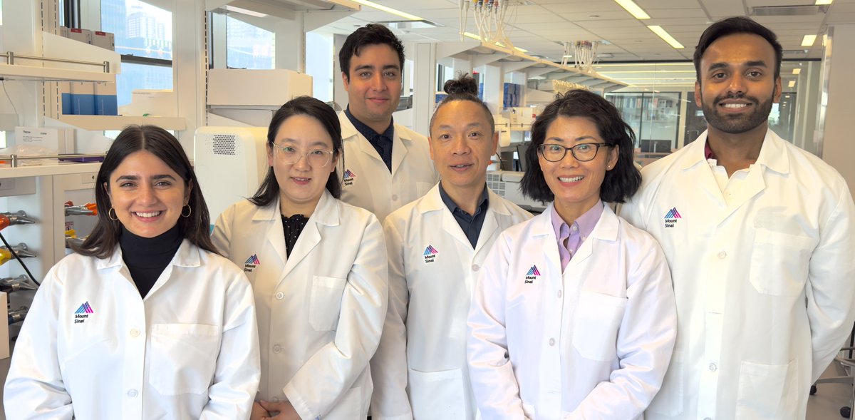 MountSinaiHIMC's tweet image. New milestone: HIMC becomes the first academic site in great New York region, as certified @OlinkProteomics Service Provider for Explore HT platform, to assay more than 5400 proteins per sample with high specificity! Contact us for more information.