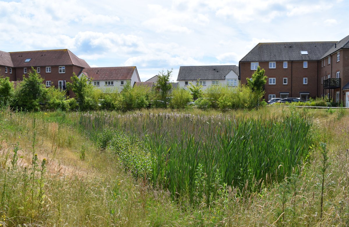 We're not seeing enough progress on global nature targets🌎

So how do we bridge the gap between targets &amp; tangible action?

In our latest blog <a href="/Love_plants/">Plantlife</a>, <a href="/PTES/">People's Trust for Endangered Species</a> &amp; <a href="/_BCT_/">Bat Conservation Trust</a>  set out the potential of Local Nature Recovery Strategies in nature restoration🌱

wcl.org.uk/power-of-lnrs-…