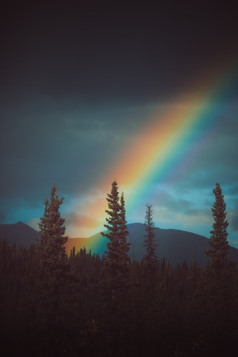 Goodmorning from Alaska ✨