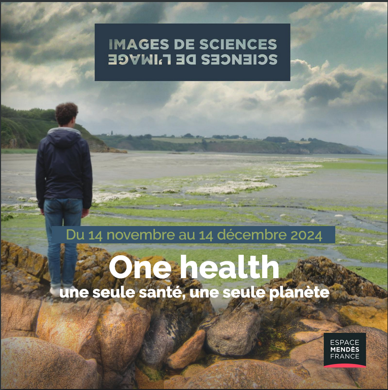 Lycée polyvalent Nelson Mandela Poitiers tweet media