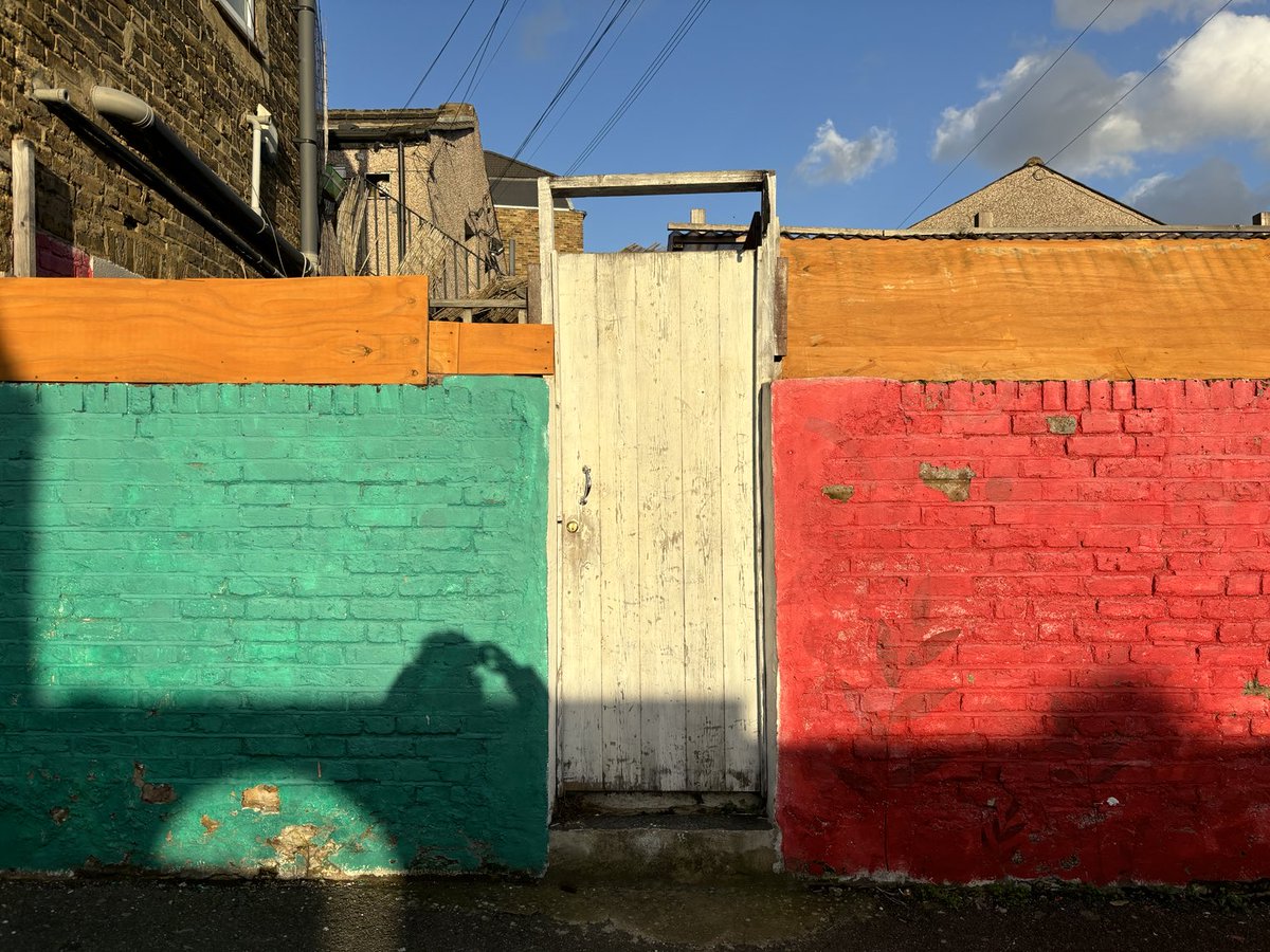 joannaofottawa's tweet image. Distribution of colour in Leytonstone today.

#paintedwalls #plants #leytonstone #london #winterlight