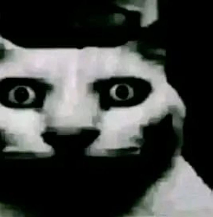 Demon_Geas's tweet photo. @C0co_may que luca que https://t.co/7SWaHyQDi7