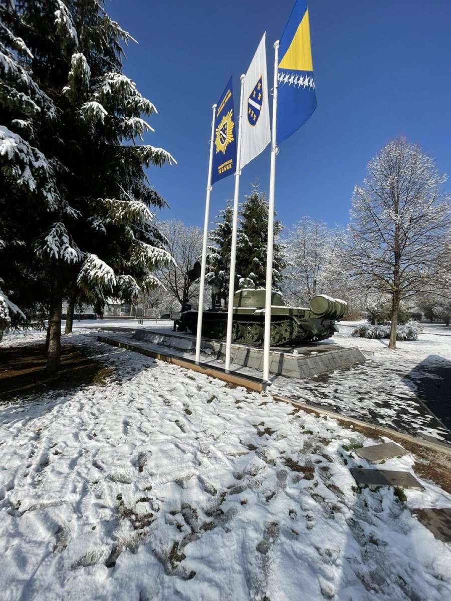 🇧🇦⚜️❤️ #DanDržavnostiBiH