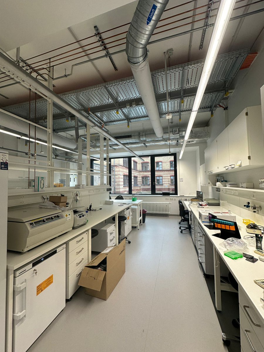 Sawitzki Lab tweet media