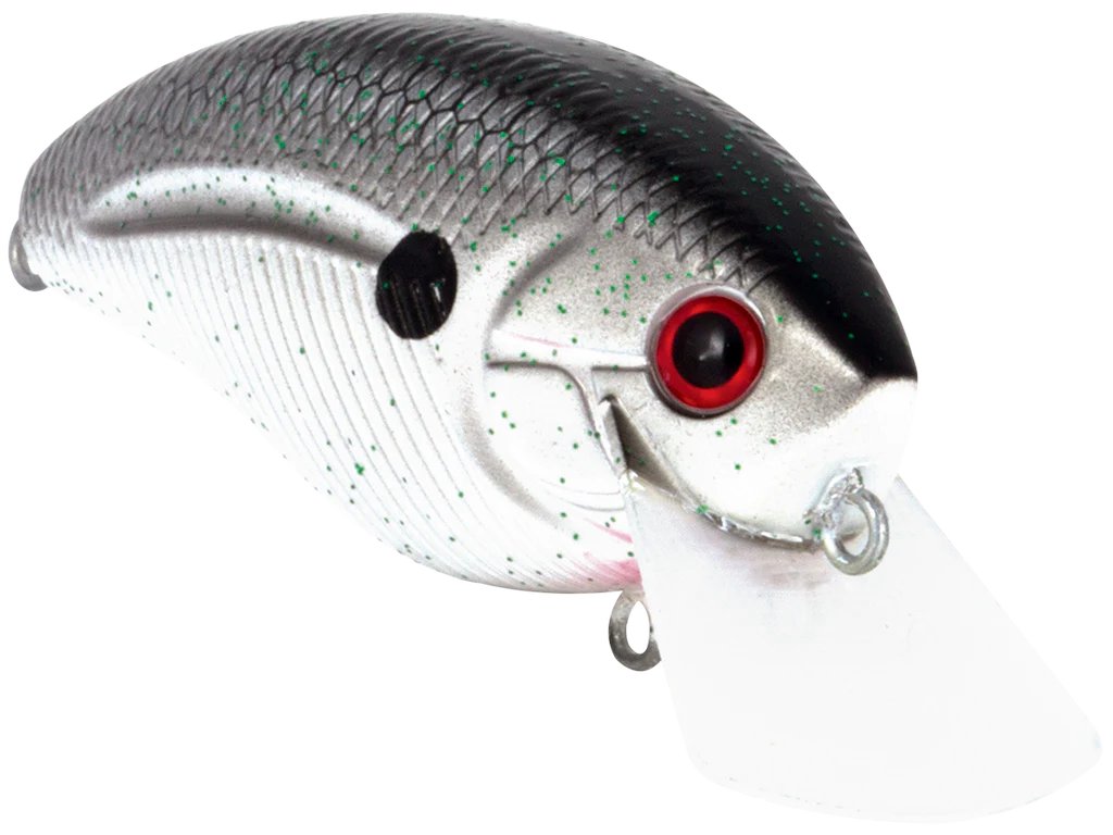 Fishing With Fitz (@Fishingwithfitz) / Posts / X