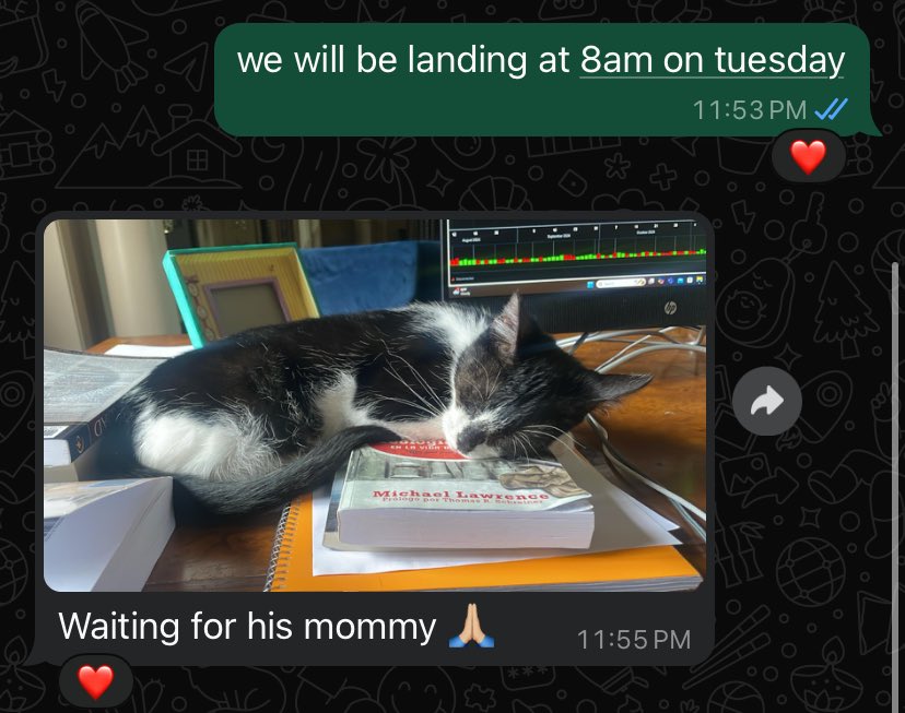 mouseythali's tweet image. 🥹🥹🥹🥹🥹🥹🥹