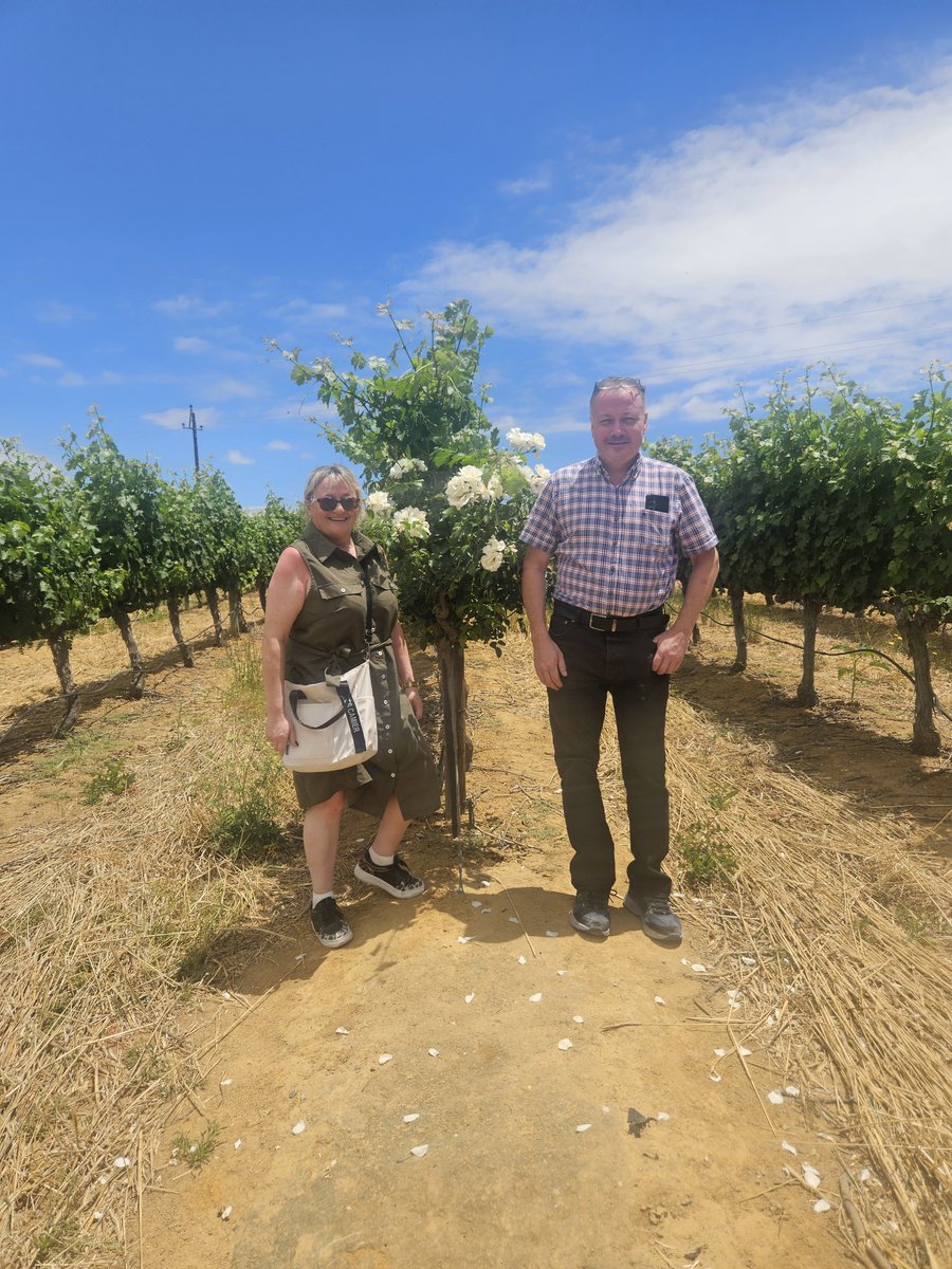 Neetlingshof Wine Estate, Stellenbosch, Western Cape, South Africa #CapeTown